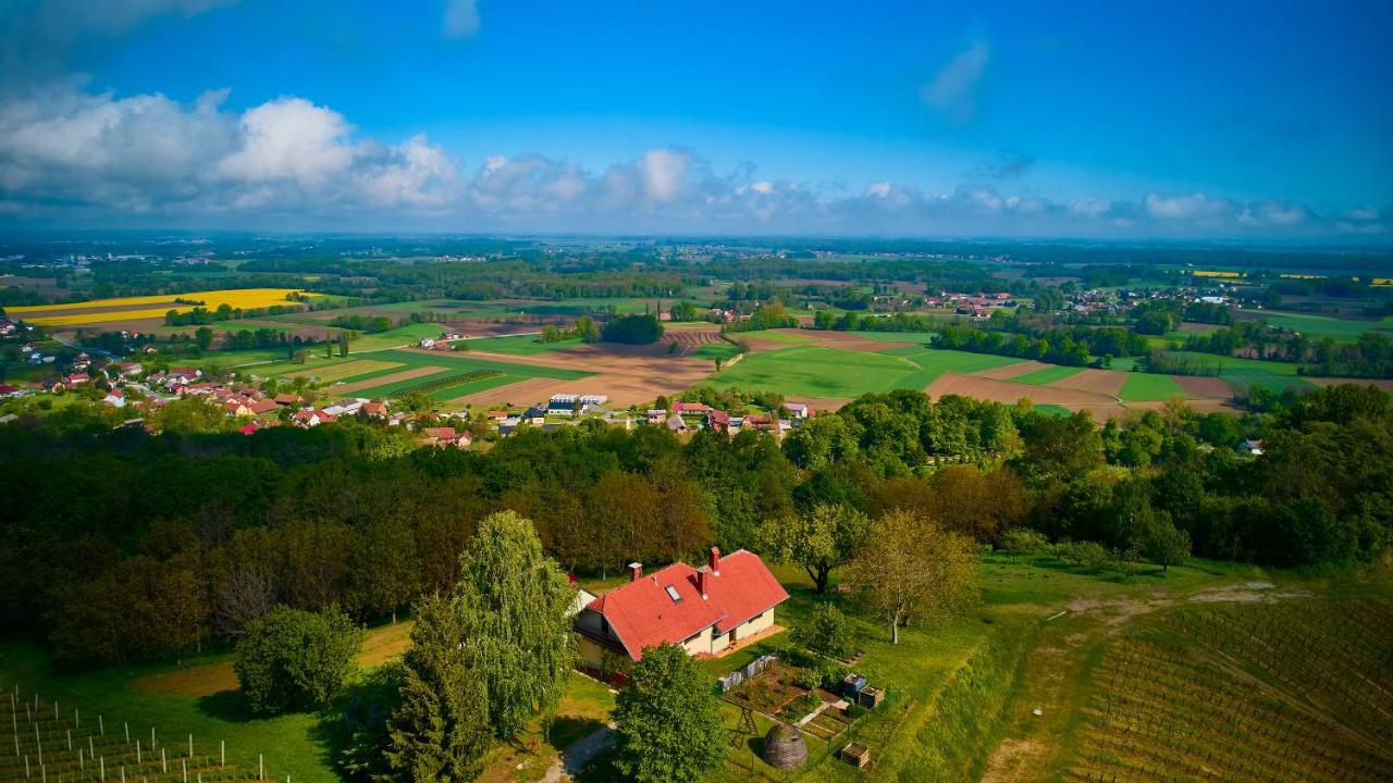Holiday House Podhamer Marijan Ljutomer Exteriér fotografie